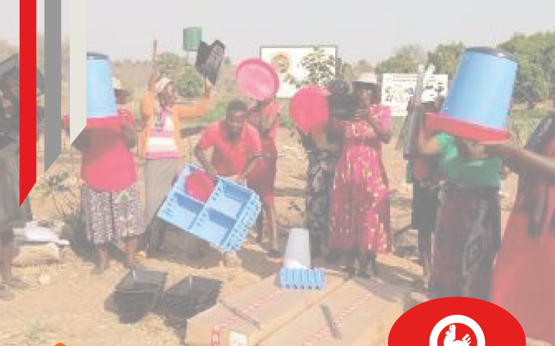Giordano Poultry Plast поддерживает развитие деревень в Зимбабве